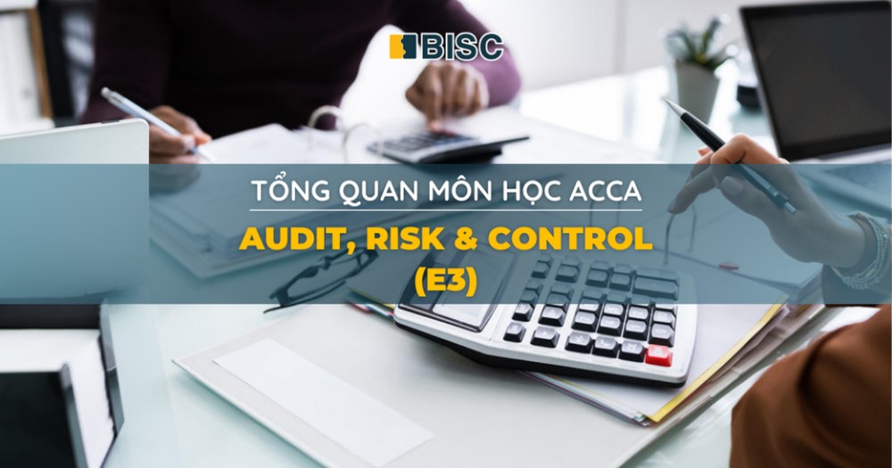 E3 Audit, Risk & Control