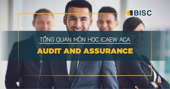 Audit and Assurance